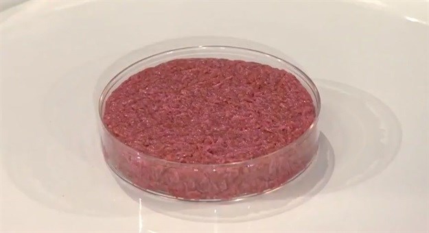 Cultured meat. Image by WEF, CC BY 3.0,