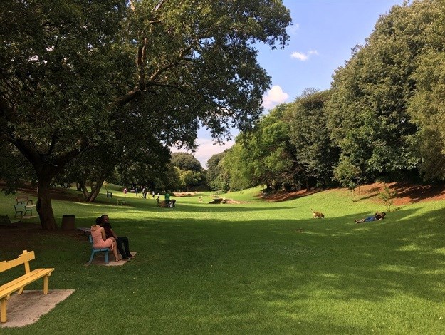 The Wilds – revitalising a forgotten public space by James Delaney