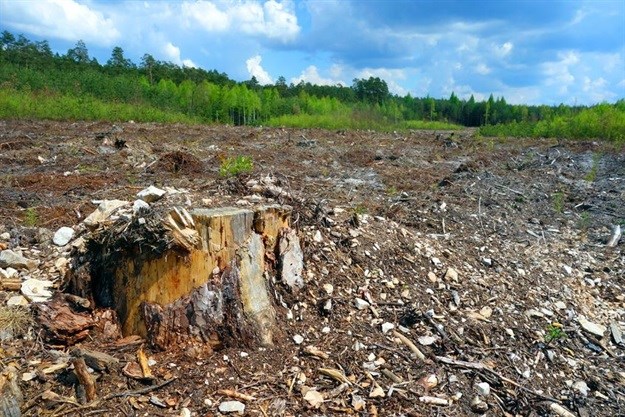 Eating less meat is a climate priority, whatever the sceptics say