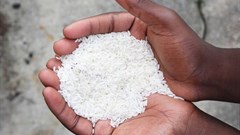 Investing in agricultural sector, key to curb poverty