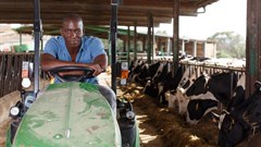 Land reform an economic necessity, says Ramaphosa