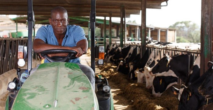 Land reform an economic necessity, says Ramaphosa