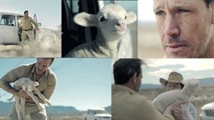 Screen grabs from the ad.