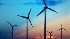 Wind turbines aren't quite 'apex predators', but the truth is far more interesting