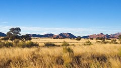 AfDB looks to turn African savannah into global food basket using agritech