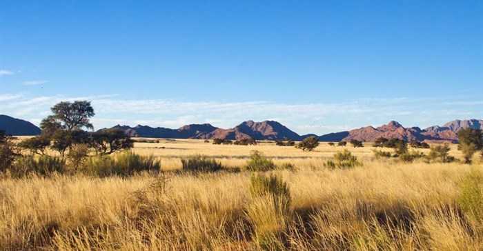 AfDB looks to turn African savannah into global food basket using agritech