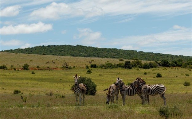 SANParks and Welgevonden Game Reserve enter partnership agreement