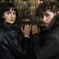 #OnTheBigScreen: Fantastic beasts, widows, and a sci-fi thriller