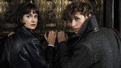 #OnTheBigScreen: Fantastic beasts, widows, and a sci-fi thriller