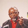 Mining Minister, Gwede Mantashe