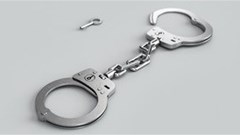 Nissan chairman Carlos Ghosn arrested over financial misconduct