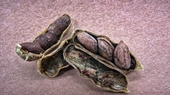 'Systems thinking' can be used to solve complex food contamination problems