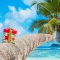 Should travel insurance be top of mind this festive?