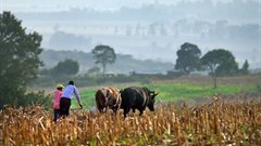 Steps rural communities can take to protect their water resources