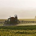 Bayer to offer access to its glyphosate studies