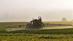Bayer to offer access to its glyphosate studies