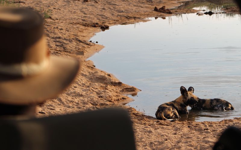 Jock Safari Lodge in Kruger relaunches