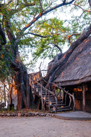 Jock Safari Lodge in Kruger relaunches