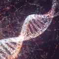 One test to diagnose them all: researchers exploit cancers' unique DNA signature