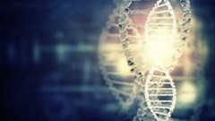 Can patents help regulate future experimentation with designer babies?