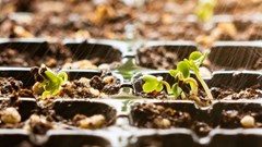 Feeding cities in the 21st century: Why urban-fringe farming is vital for food resilience