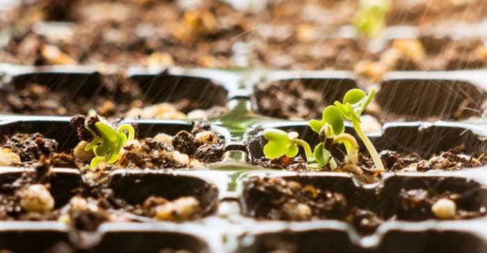 Feeding cities in the 21st century: Why urban-fringe farming is vital for food resilience