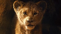 #BizTrends2019: What to look out for in film this year