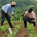 Boosting R&D capacity for sustainable agriculture