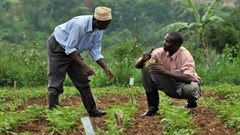 Boosting R&D capacity for sustainable agriculture