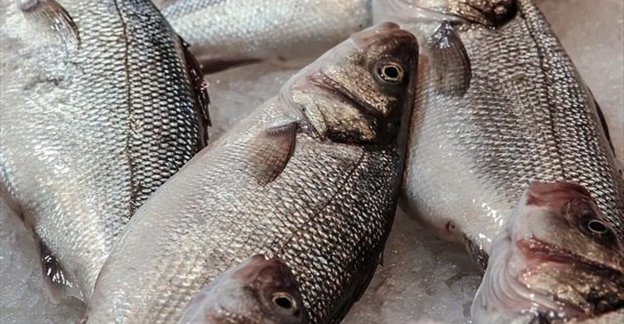 WorldFish, COMESA facility in Zambia to help boost fish trade in Africa