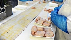 Import tariffs increase encouraged to protect SA poultry sector