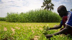 Oxfam East Africa via