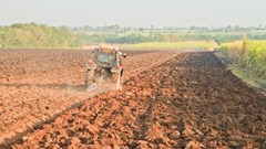 The tech fix that won't secure food supplies