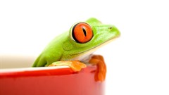 5 things that keep the advertising industry stagnant