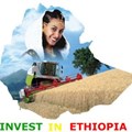 Digital platform to investing in Ethiopia launches