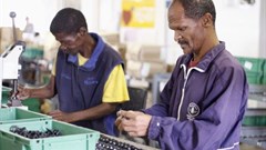 #BizTrends2019: Technology and inhumanity is surpassing the disABLED