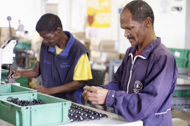 #BizTrends2019: Technology and inhumanity is surpassing the disABLED