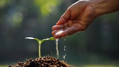 #BizTrends 2019: Agriculture: The future's uncertain, but our vision doesn't have to be