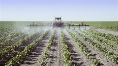 #BizTrends2019: Traceability at item level across entire supply chains