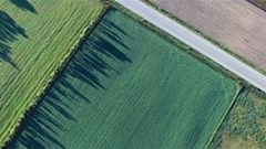 Spinning up a data annotation team