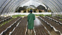 Speed up seed policies harmonisation