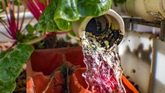 Sustainable water use crucial for the Middle East and North Africa, says FAO director general