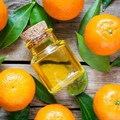 Why citrus essential oil sees growing demand in food, beverage sector