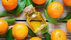 Why citrus essential oil sees growing demand in food, beverage sector