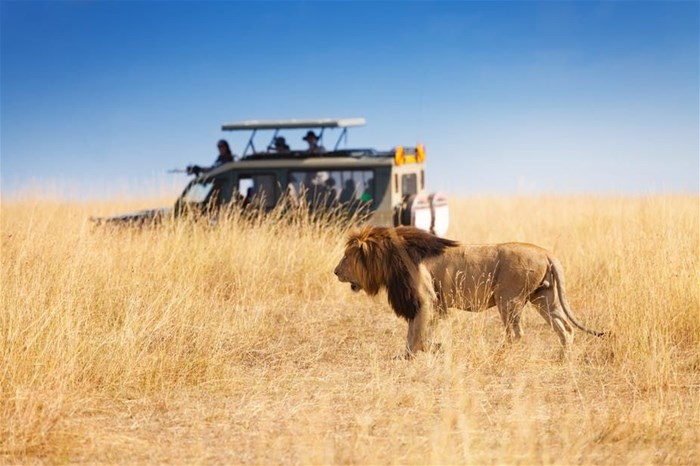 Kenya’s tourism industry is heavily focused on its beaches and wildlife. Shutterstock