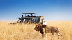 How Kenya's tourism industry has felt the impact of terrorist attacks