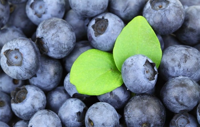 PublicDomainPictures via