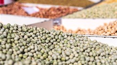 Global seed companies address climate change, nutrition needs