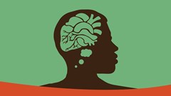 More directors and films added to 2019 RapidLion lineup