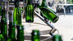 (c) Alexander Sorokopud -